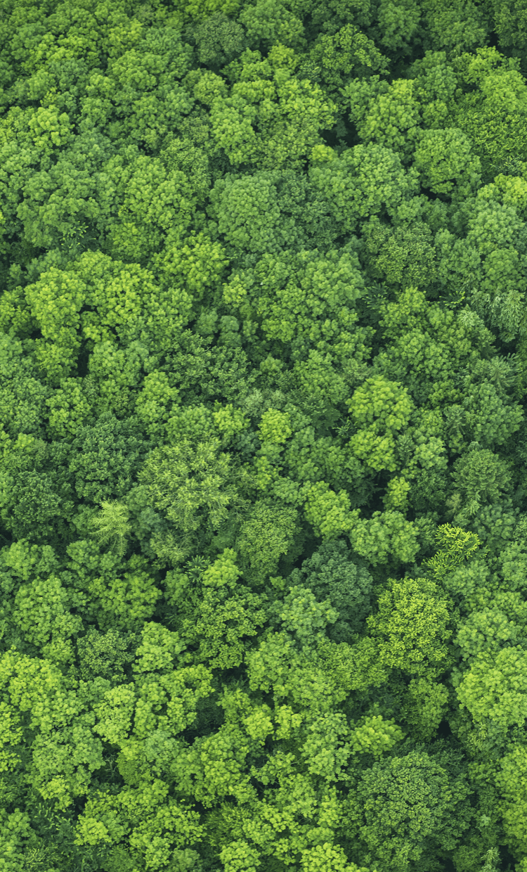 環境-環境保護與改善